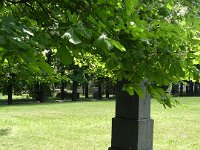 1-31 Jakabházi Zsigmond